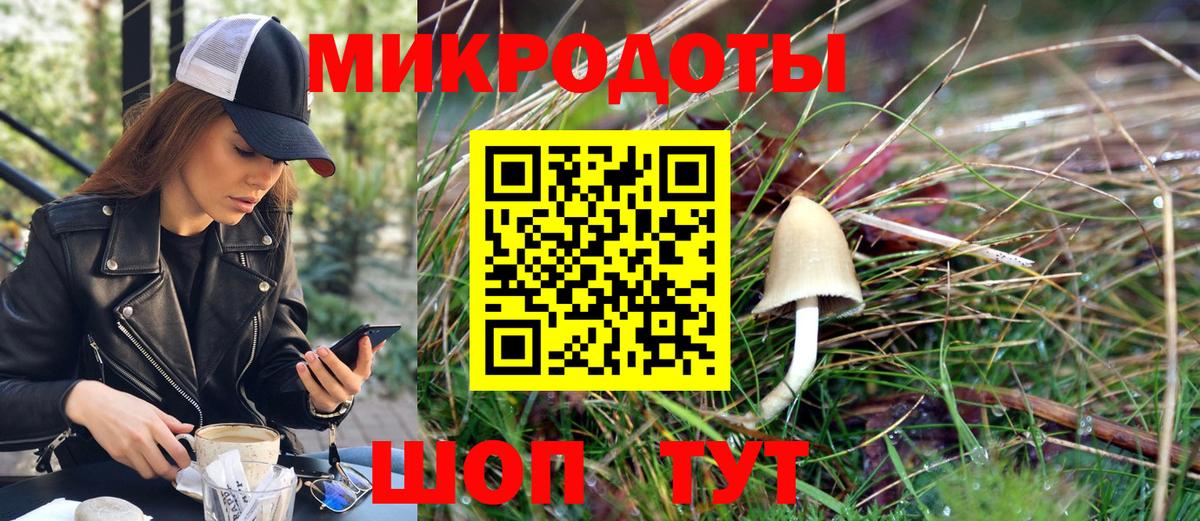 Назрань  купить закладку  Вход с VPN  Псилоцибиновые грибы мицелий 