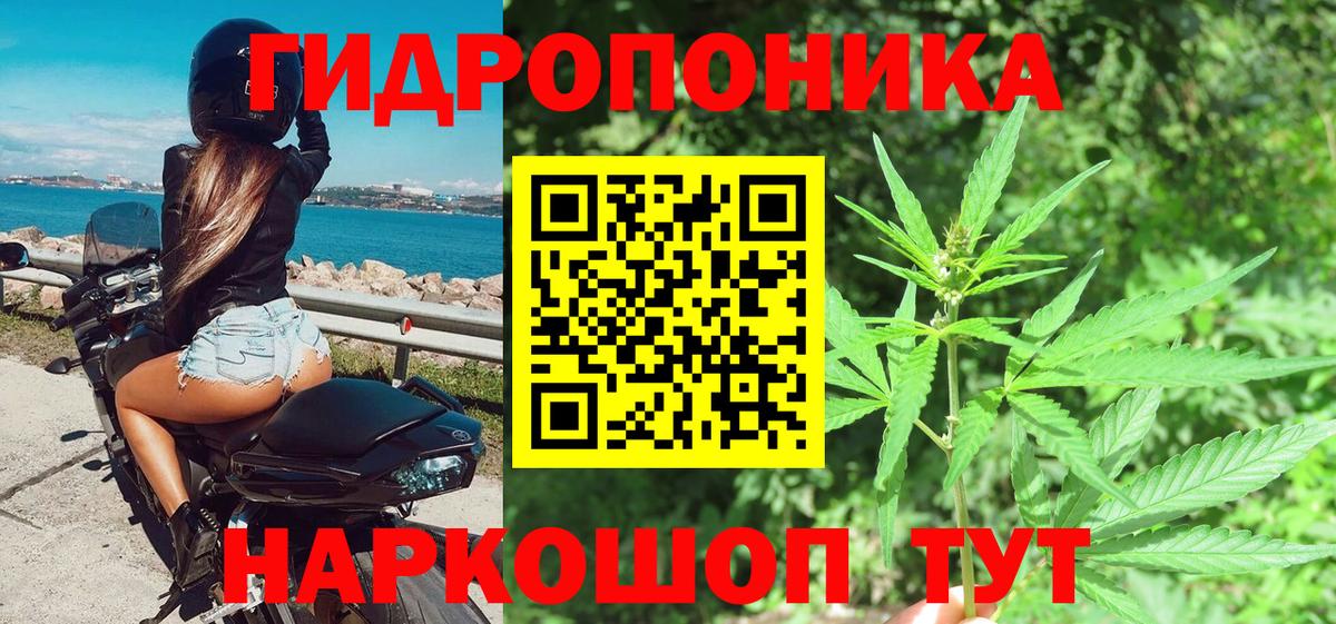 Бошки Шишки индика Назрань